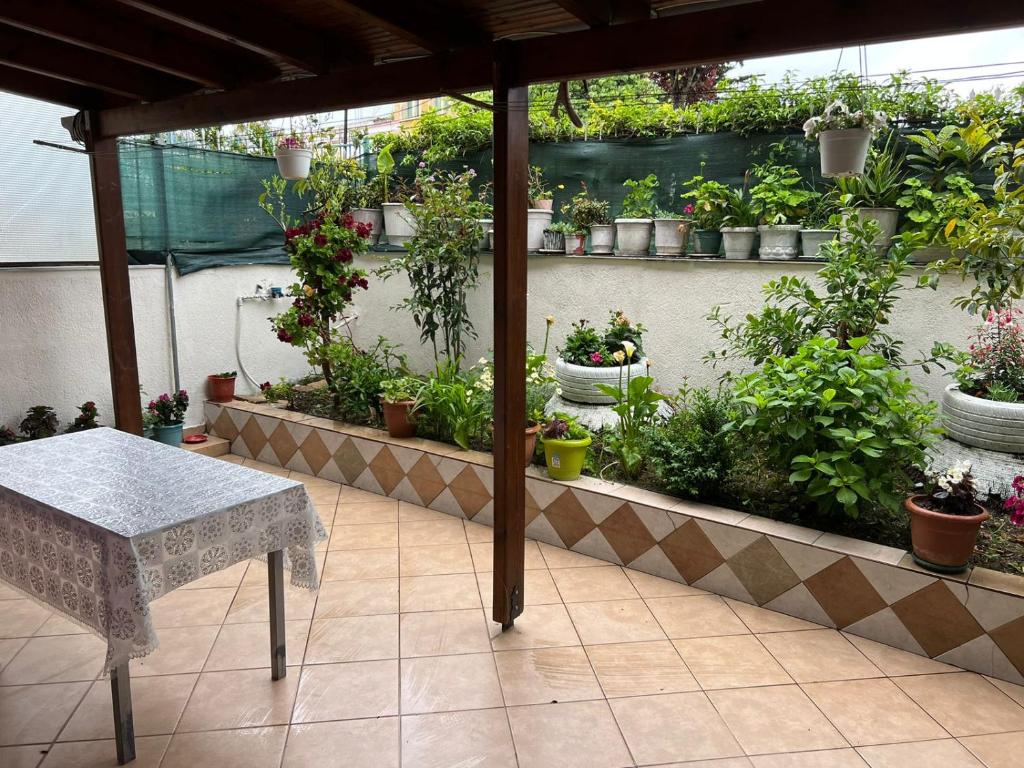 a patio with a table and a bunch of potted plants at Goni Guest House in Sarandë