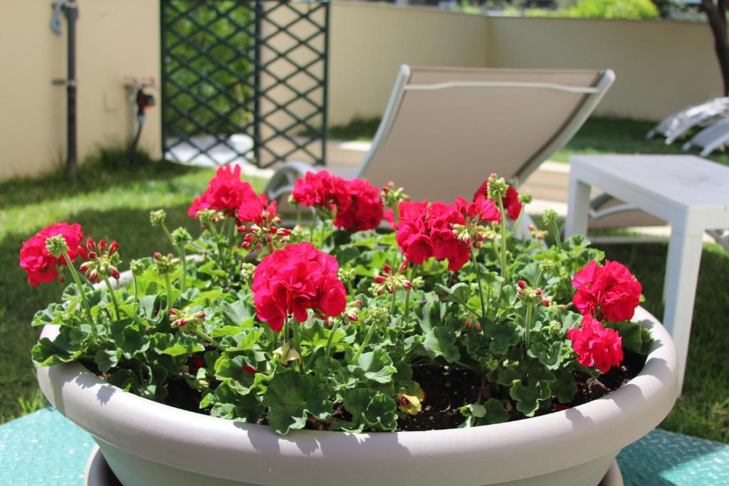 A garden outside Don Francisco Rooms - TROPEA