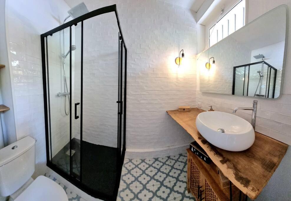 une salle de bain avec un lavabo et une douche en verre dans l'établissement T2 Cosy & Garden - HYPERCENTRE - GARE - WIFI, à Toulouse