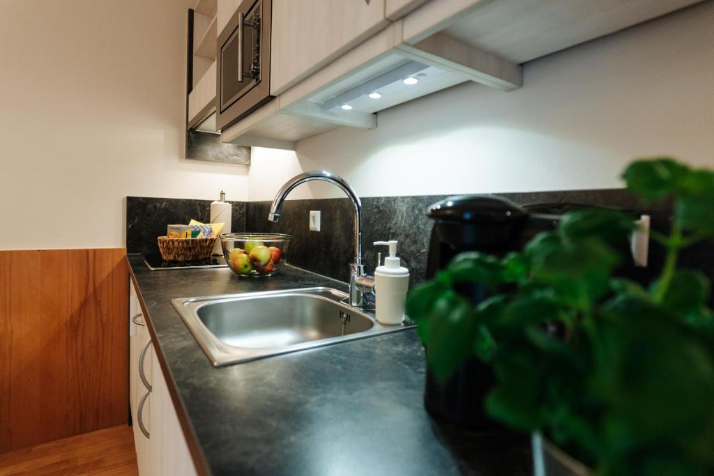 Kuchyň nebo kuchyňský kout v ubytování Burgls Apartmenthaus