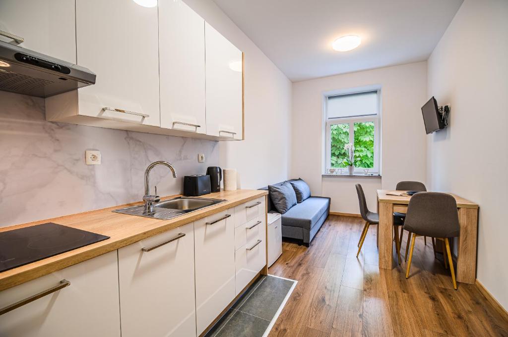 Kuchyň nebo kuchyňský kout v ubytování Guesthouse Pr'Šefu