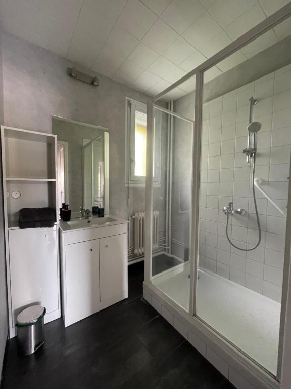 uma casa de banho com um chuveiro, um WC e um lavatório. em Appart lumineux au calme 2 ou 3 pers em Chalon-sur-Saône
