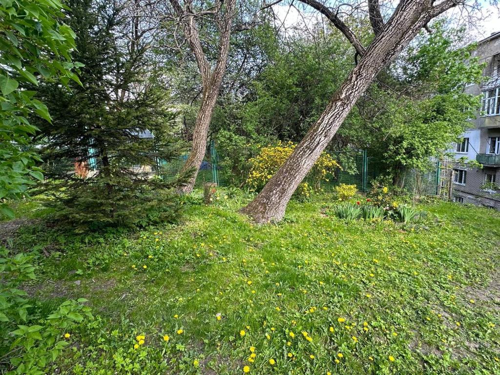 Kotliarevskoho apartament z sadom photo 3