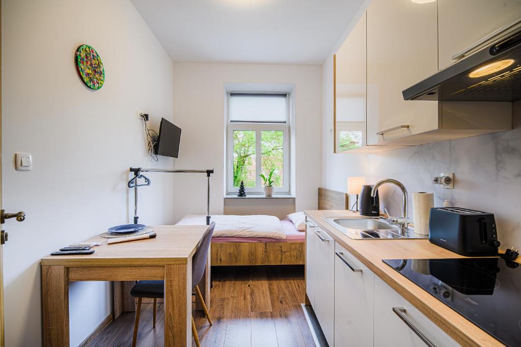 Kuchyň nebo kuchyňský kout v ubytování Guesthouse Pr'Šefu