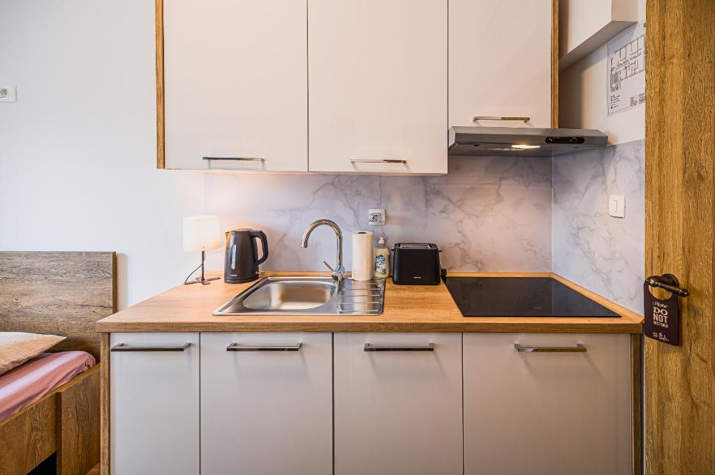 Kuchyň nebo kuchyňský kout v ubytování Guesthouse Pr'Šefu