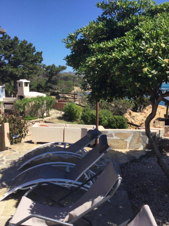 a bench sitting next to a tree in a yard at Villa Vera trifamigliare con ingresso diretto 20 mt al mare clima wi-fi bbq in Cala Liberotto