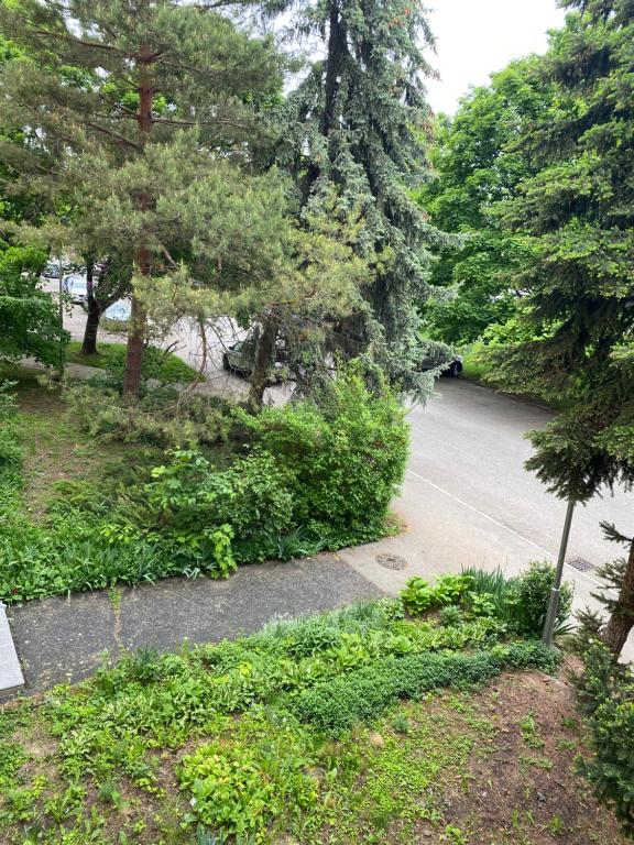 Zahrada ubytování Apartmán Nitra