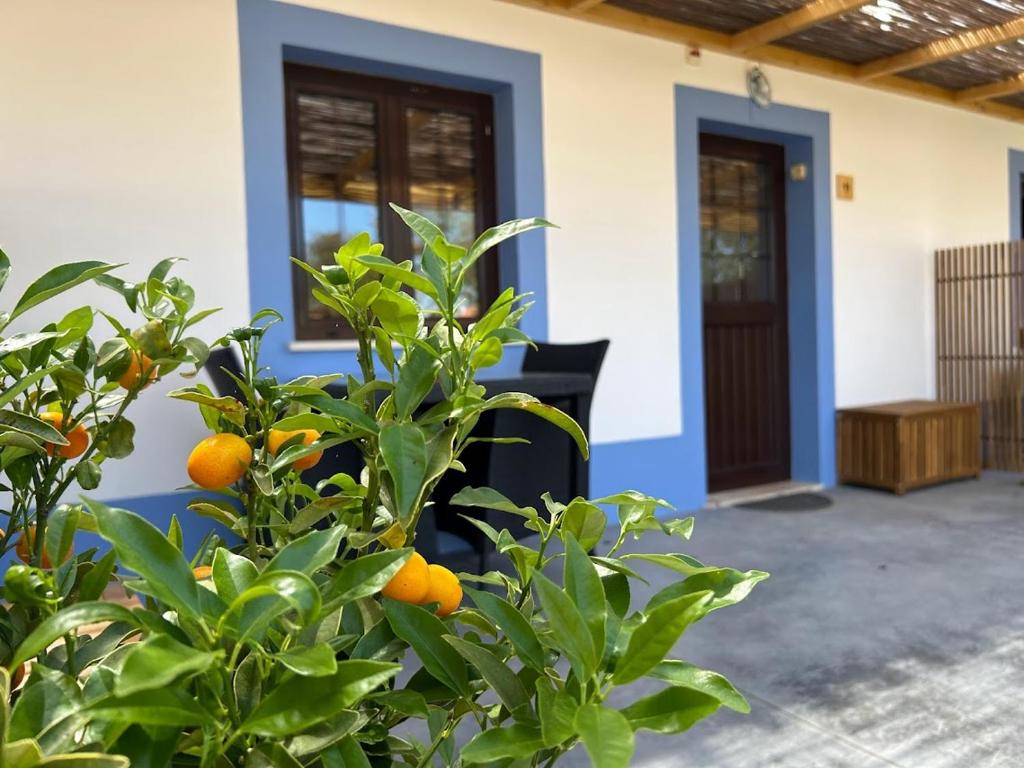 Quinta da Boavista - 9