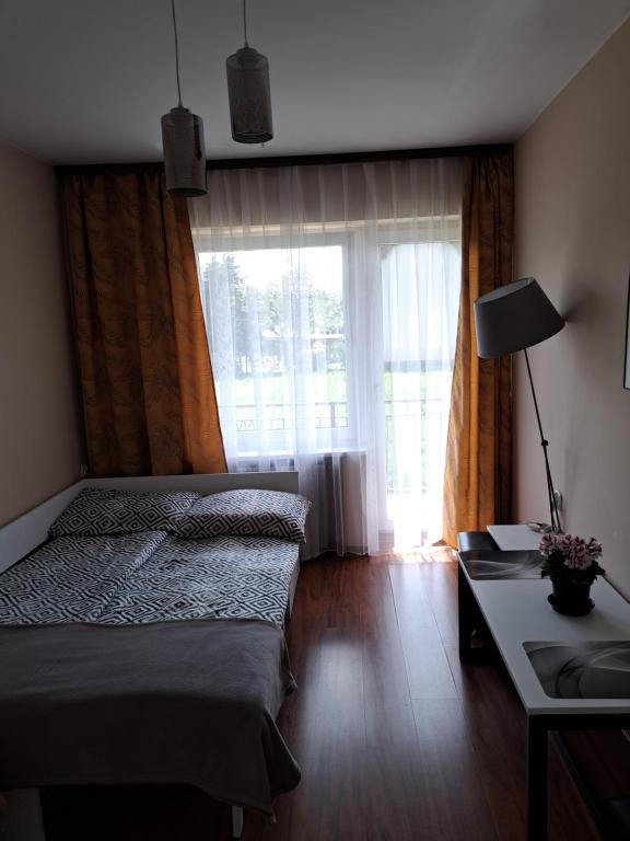 1 dormitorio con cama y ventana grande en U OLIWII, en Krościenko nad Dunajcem
