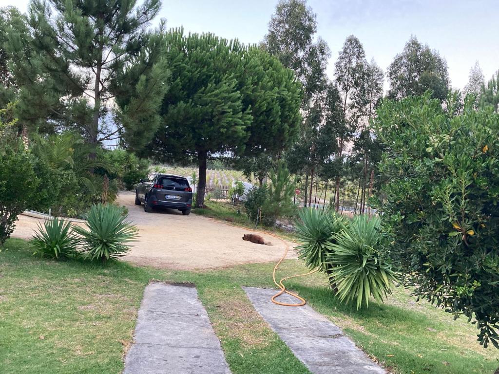 Zahrada ubytování Villa Monte dos Pinheiros