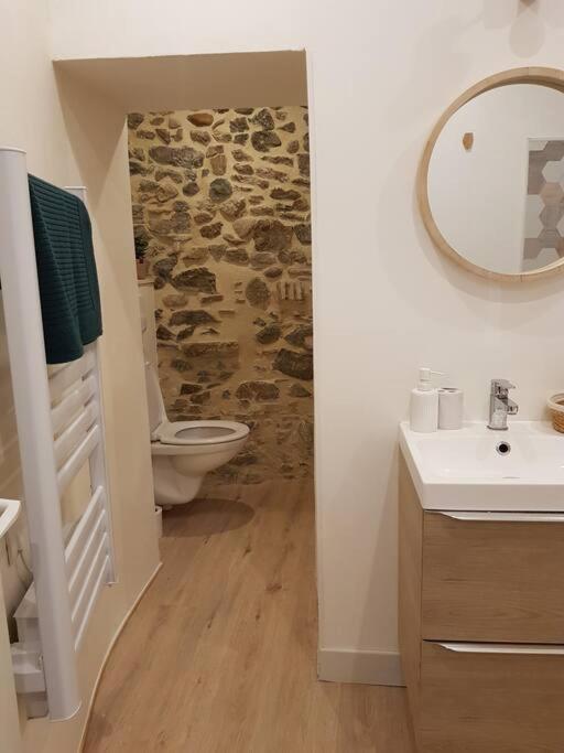 a bathroom with a toilet and a stone wall at Bel appartement, 2 chambres, centre ville in Thiers