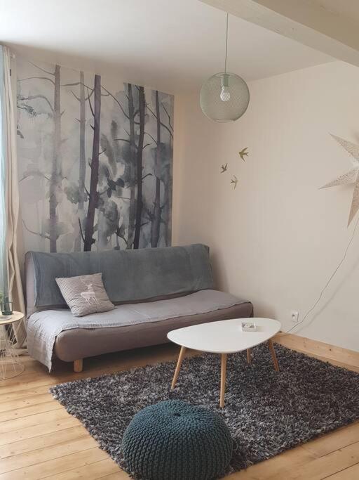 a living room with a couch and a table at Bel appartement, 2 chambres, centre ville in Thiers