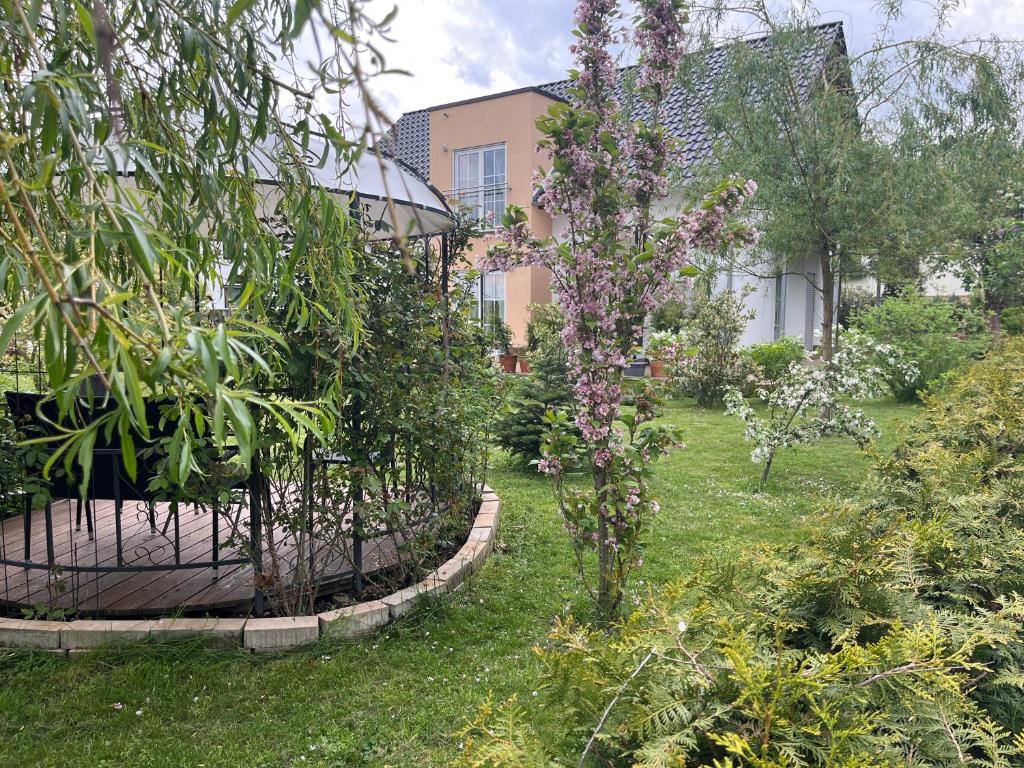Zahrada ubytování Villa Florentine