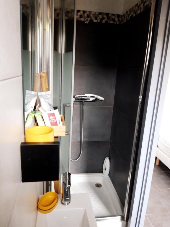 uma casa de banho com um chuveiro, um WC e um lavatório. em T2 Rungis Mermoz Lenôtre Orly em Rungis