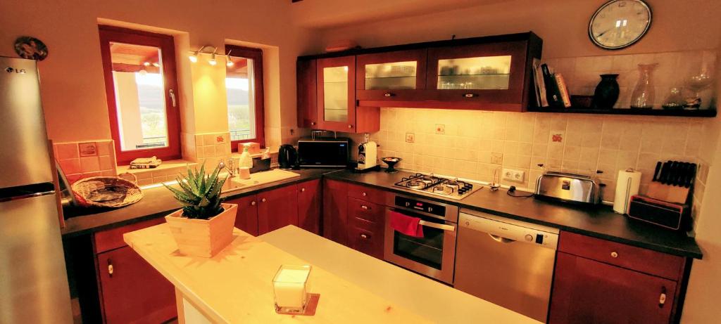 - une cuisine avec des placards en bois et un comptoir dans l'établissement Hosszúhegyi Guesthouse, à Pilisszántó