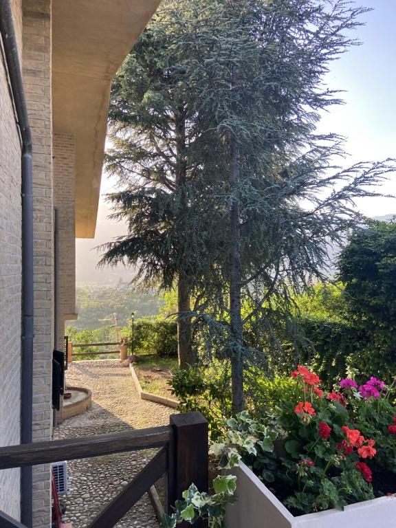 A garden outside Villa Cipriano