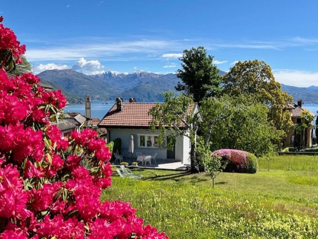 une maison avec des fleurs roses dans une cour dans l'établissement Le Betulle, à Oggebbio