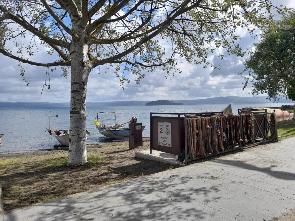Příroda nedaleko apartmánu