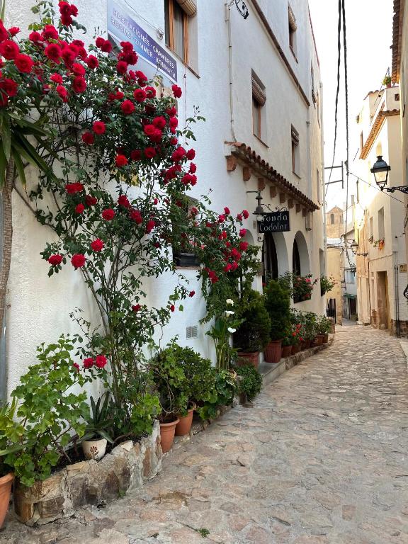 una calle con flores al lado de un edificio en P&R hostals Codolar, en Tossa de Mar