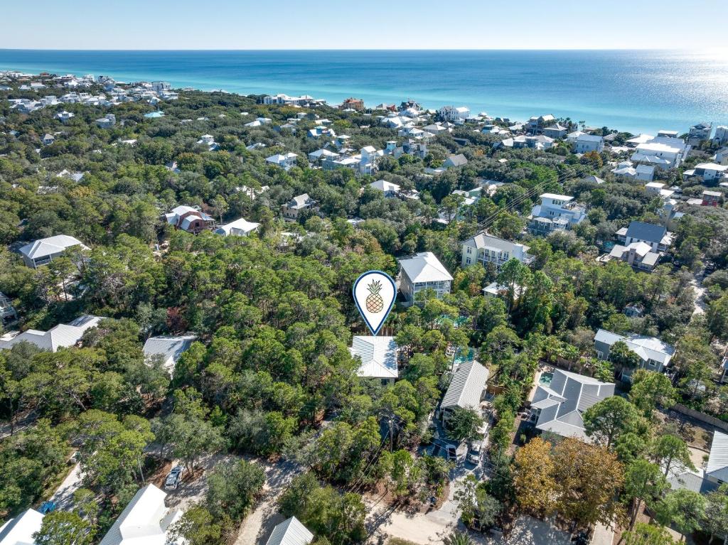 The Palm House, Santa Rosa Beach (updated prices 2024)