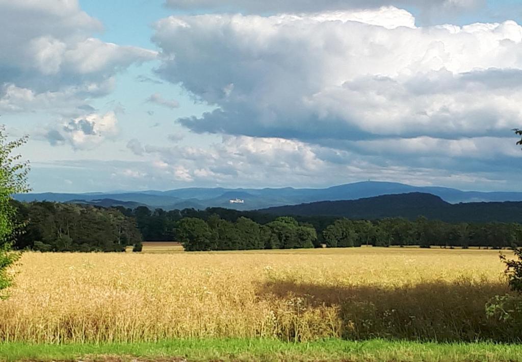 a field of wheat with mountains in the background at Alte Schule Altefeld in Herleshausen
