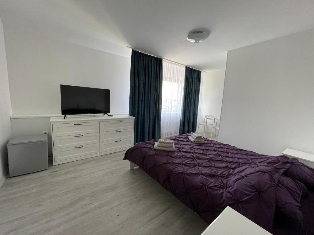a bedroom with a bed and a flat screen tv at EVA's Rooms in Târgu-Mureş