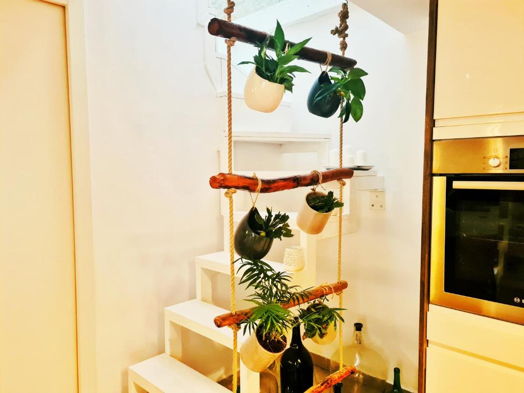 Kuchyňa alebo kuchynka v ubytovaní Grisia 26 Apartment