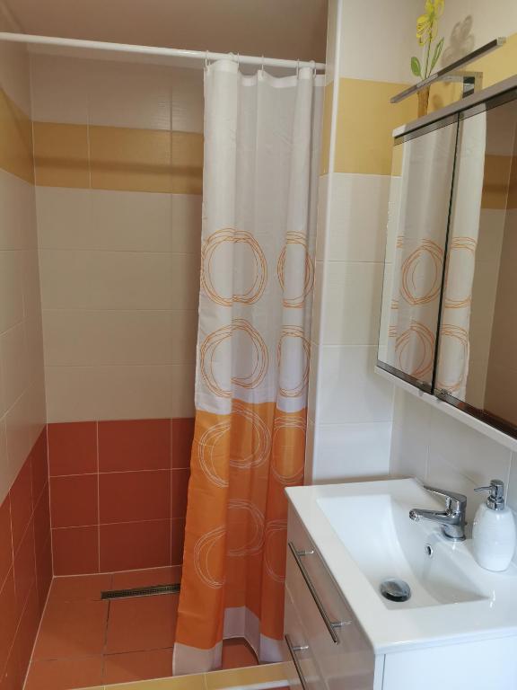 Koupelna v ubytování Apartmány Svítkov 79