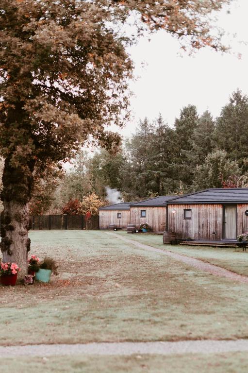 Zahrada ubytování Riverside Cabins