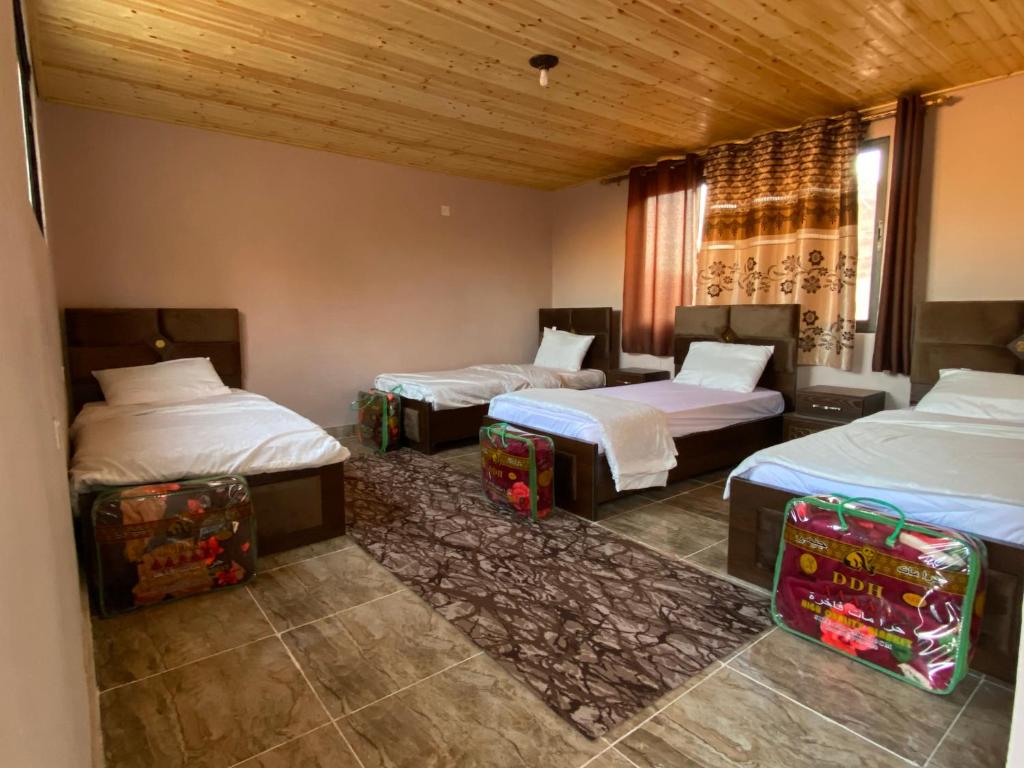 Кровать или кровати в номере Bedouin picnic camp