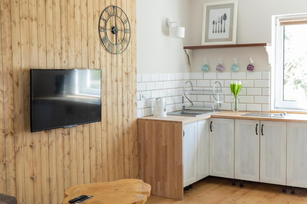 Kuchyňa alebo kuchynka v ubytovaní Apartamenty Przylesie