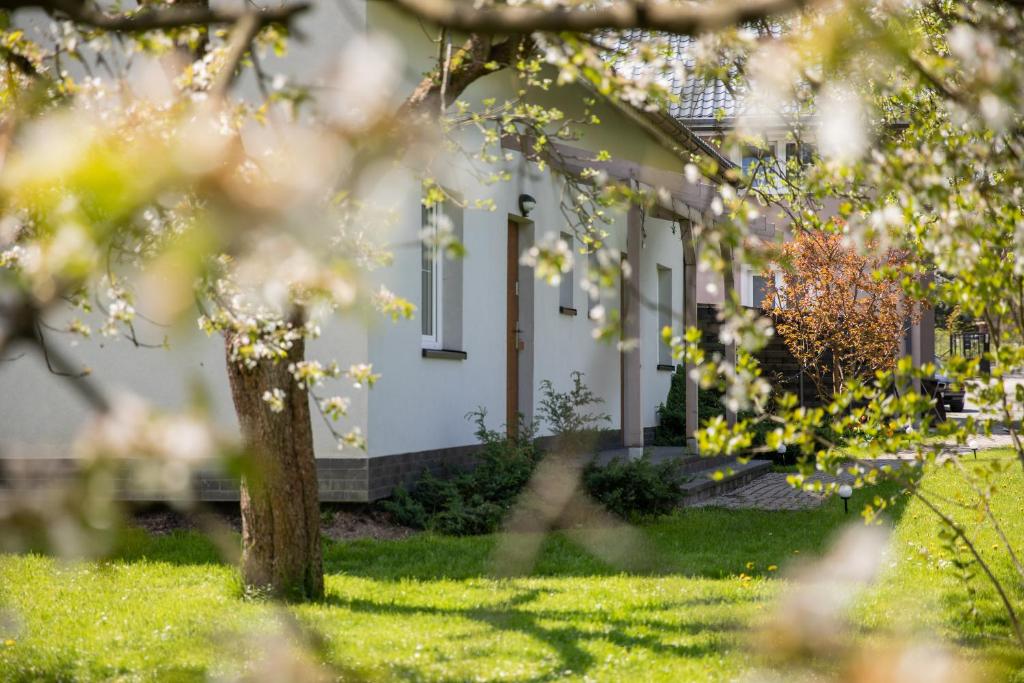 Vonkajšia záhrada v ubytovaní Apartamenty Przylesie