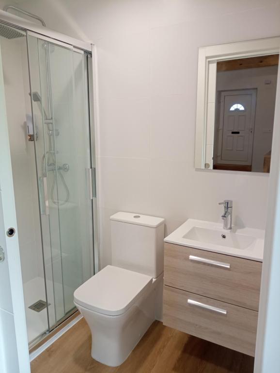 een badkamer met een toilet, een wastafel en een douche bij APARTAMENTO EN LEKEITIO in Lekeitio