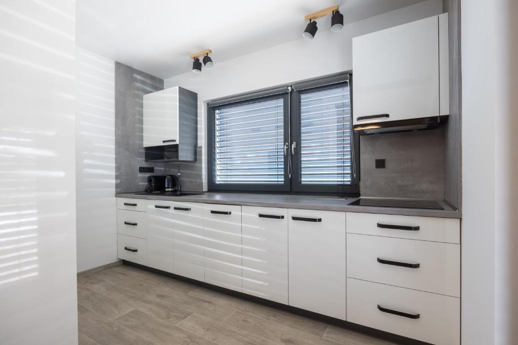 Kuchyň nebo kuchyňský kout v ubytování Apartmány Na Lánech