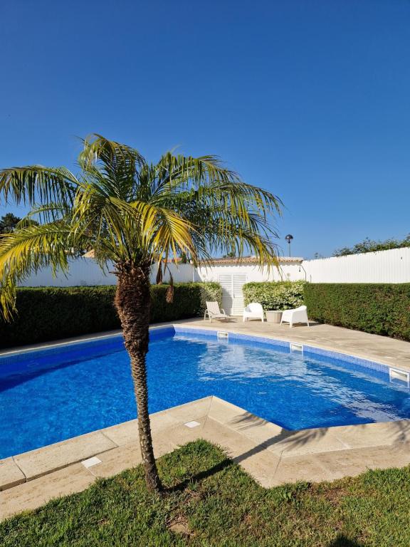 a palm tree next to a swimming pool at Villa Armanbel in Sesimbra