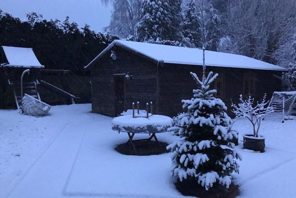 a snow covered cabin with a snow covered christmas tree at The Barn in Trotterscliffe