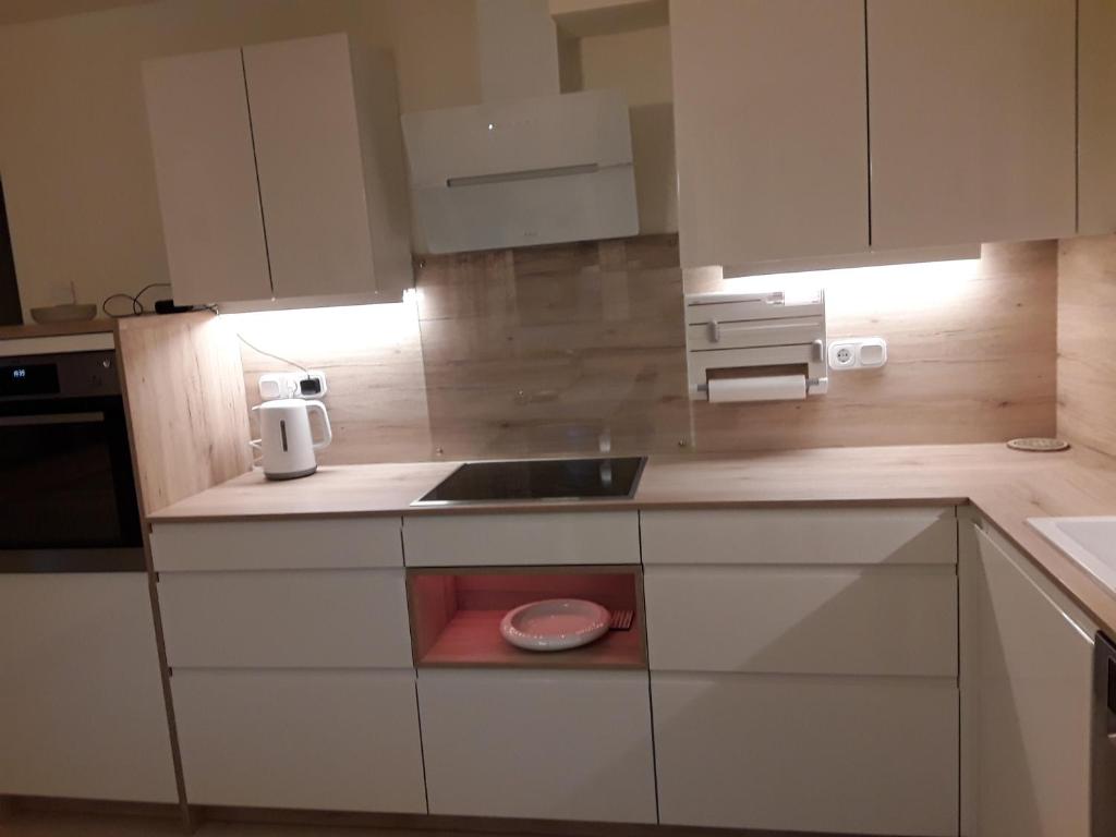 Kuchyň nebo kuchyňský kout v ubytování Landhaus Yvita