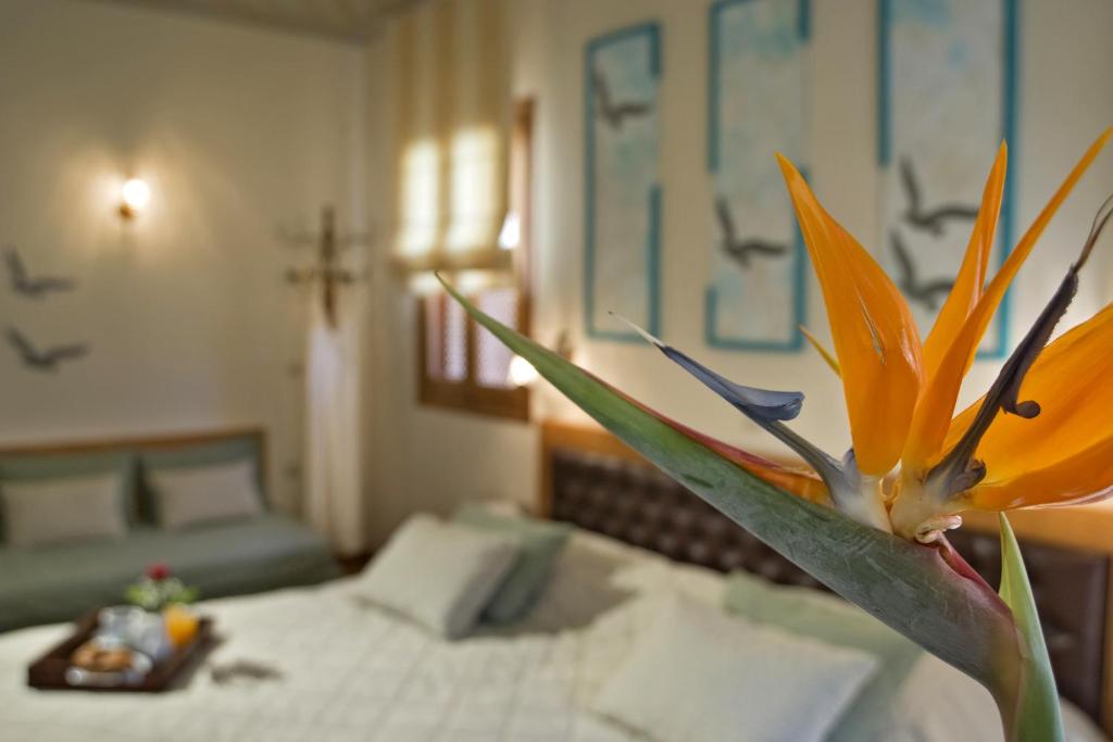 Ionas Boutique Hotel - 12