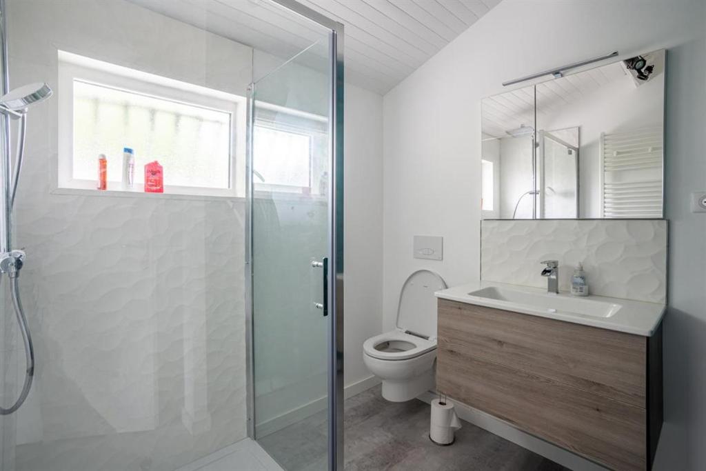 a bathroom with a shower and a sink and a toilet at Maison de vacances Bisca in Biscarrosse