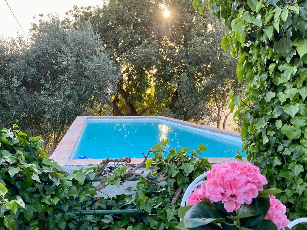 basen w ogrodzie z różowymi kwiatami w obiekcie La Tahona (Cortijo Andaluz en las montañas) w mieście Almogía