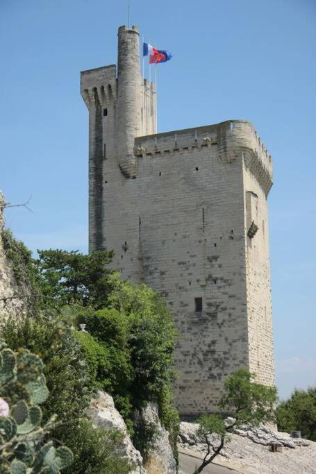 a castle with a flag on top of it at La Cigale - Vieux Village - Charmante Maisonnette climatisée avec Jardin in Villeneuve-lès-Avignon