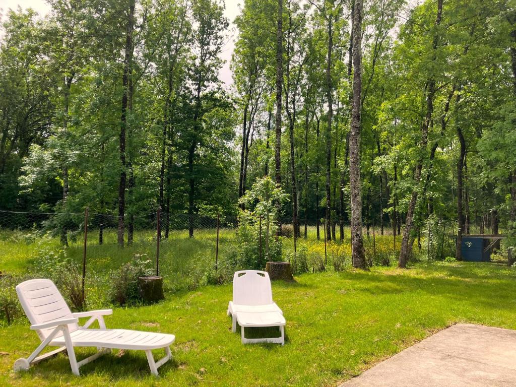 ein Picknicktisch und zwei Stühle im Gras in der Unterkunft Makivka - Maison entière avec 2 chambres in Boutiers-Saint-Trojan