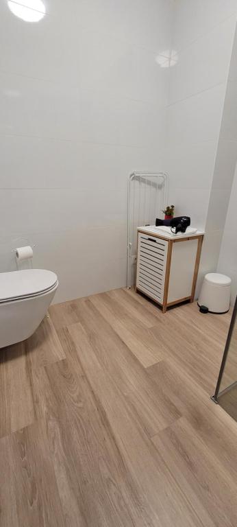 Koupelna v ubytování Kolorowe Cieplice - Apartamenty z widokiem na Karkonosze