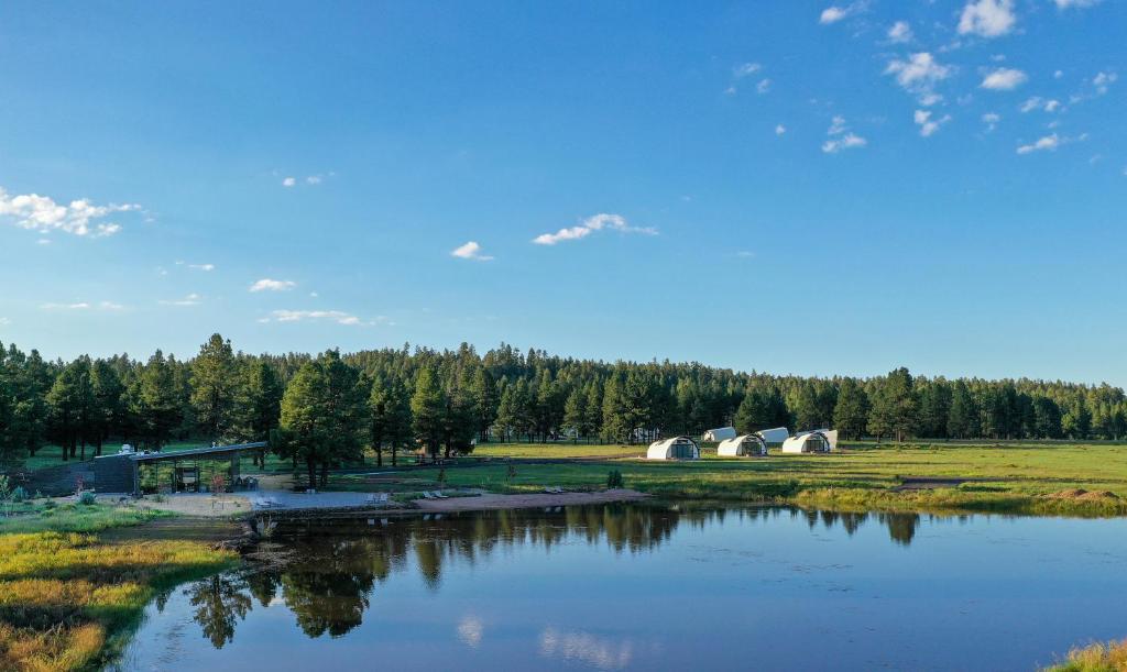 Příroda nedaleko luxury tent