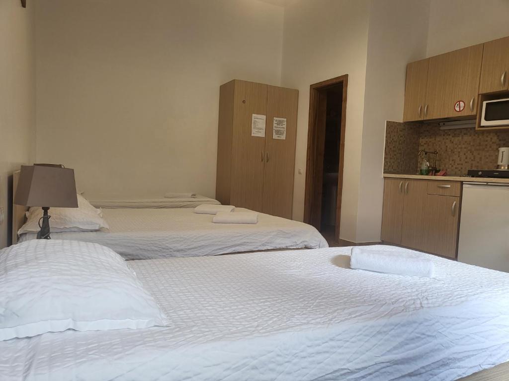 Casa Rezidentiala Aria - Apartamento De Estúdio (4 Adultos)