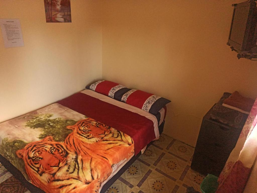 a bedroom with two beds with tigers on them at Hostal Globo in Quito