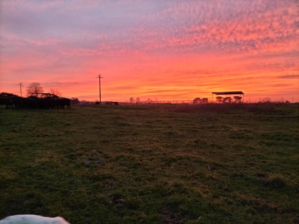 einen Sonnenuntergang auf einem Feld mit Pferden auf einem Feld in der Unterkunft Rod Ranch Livestock - Stanza matrimoniale in clubhouse in Campagnano di Roma
