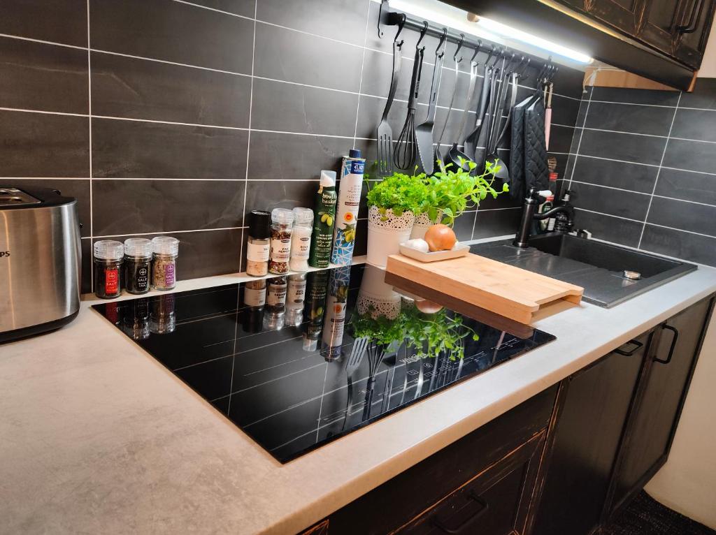 a kitchen with a counter with plants on it at Studio White Bears in Akureyri