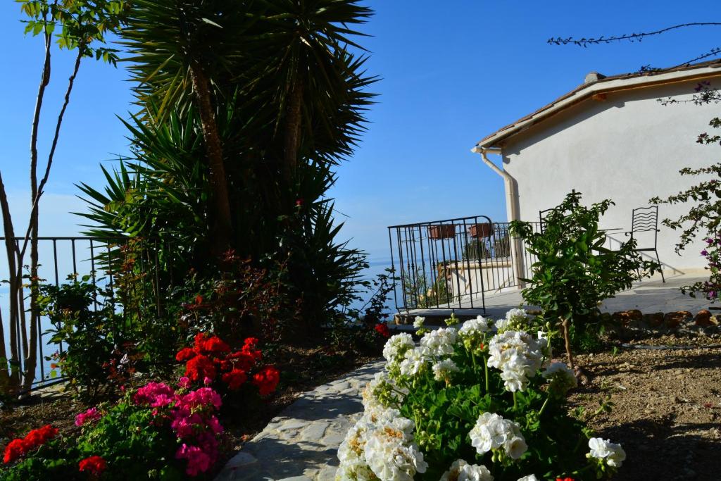 Ogród w obiekcie Petit coin de Paradis a cote de Monaco