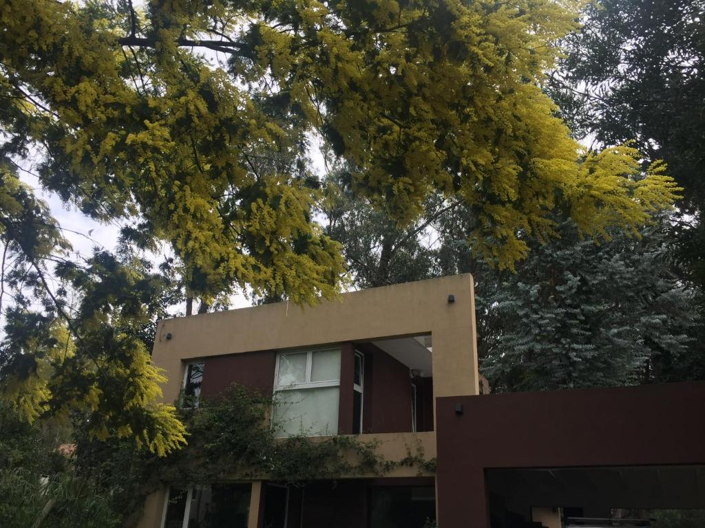 マル・デル・プラタにあるLa Pasionariaの木々の中の建物